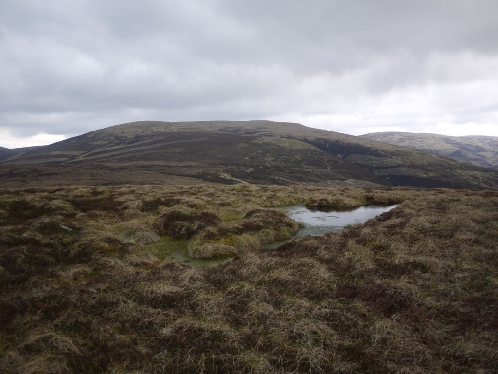 Clockmore summit