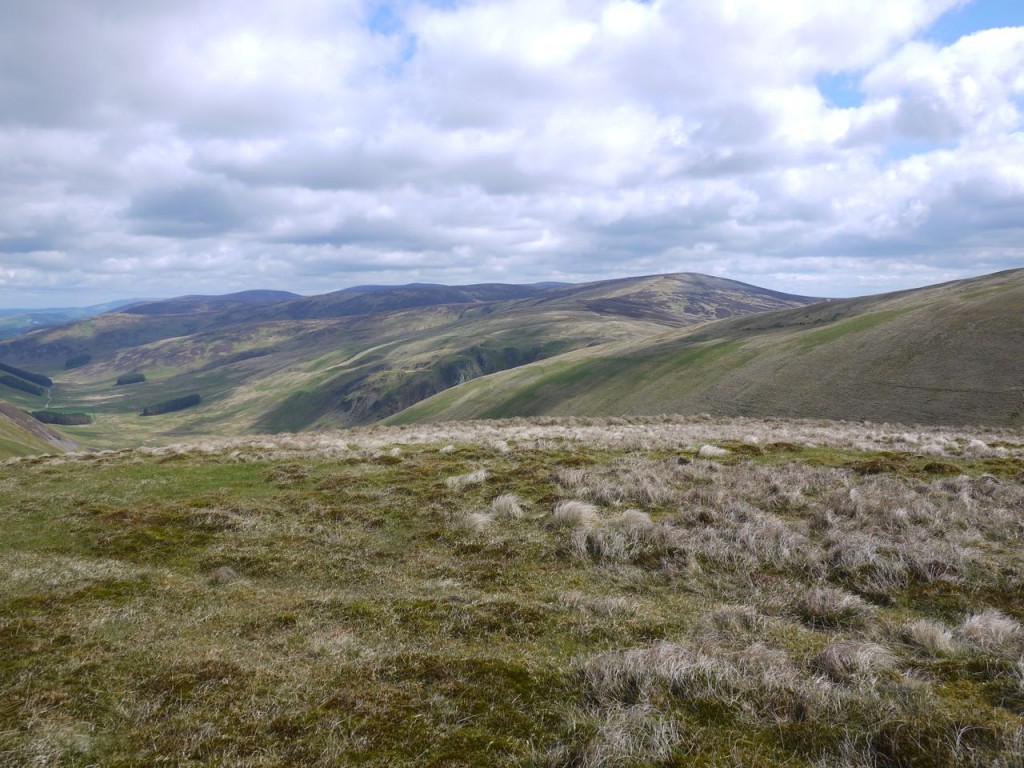 Glenrath Hills from Shielhope