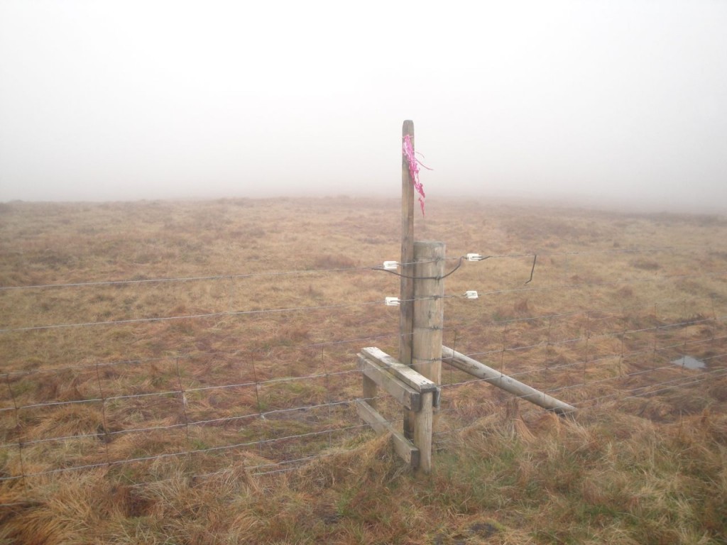 Stile in the Beninner col