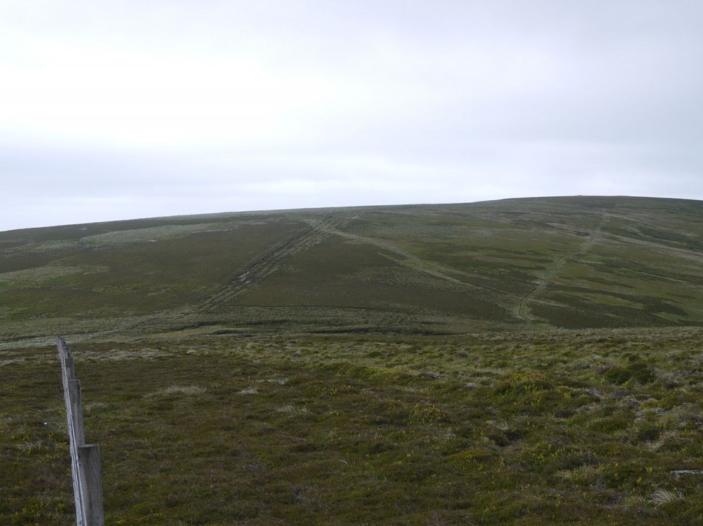 Black Law, with furrows, from Black Cleuch Hill