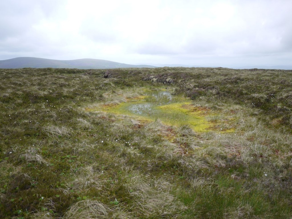 Bogs on Waddyside Rig