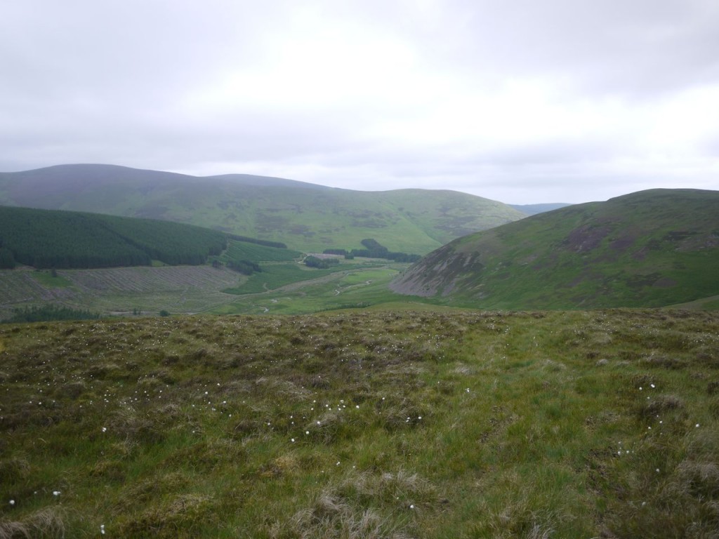 Manor Glen from Sting Rig