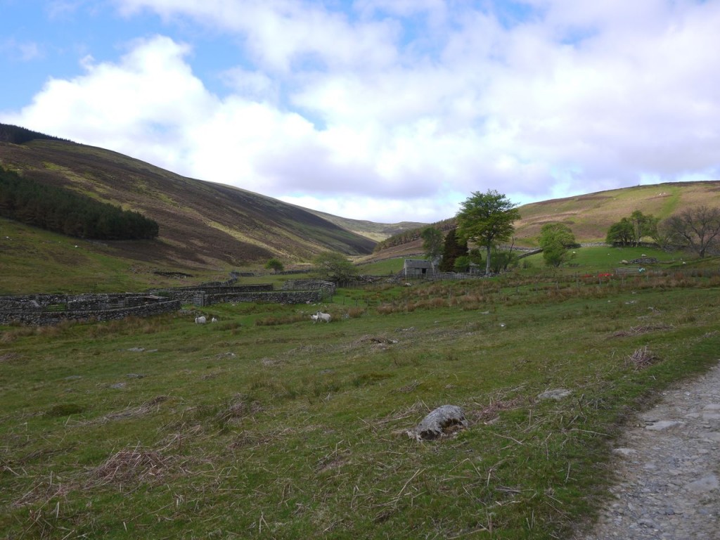 Ruins at Kirkhope