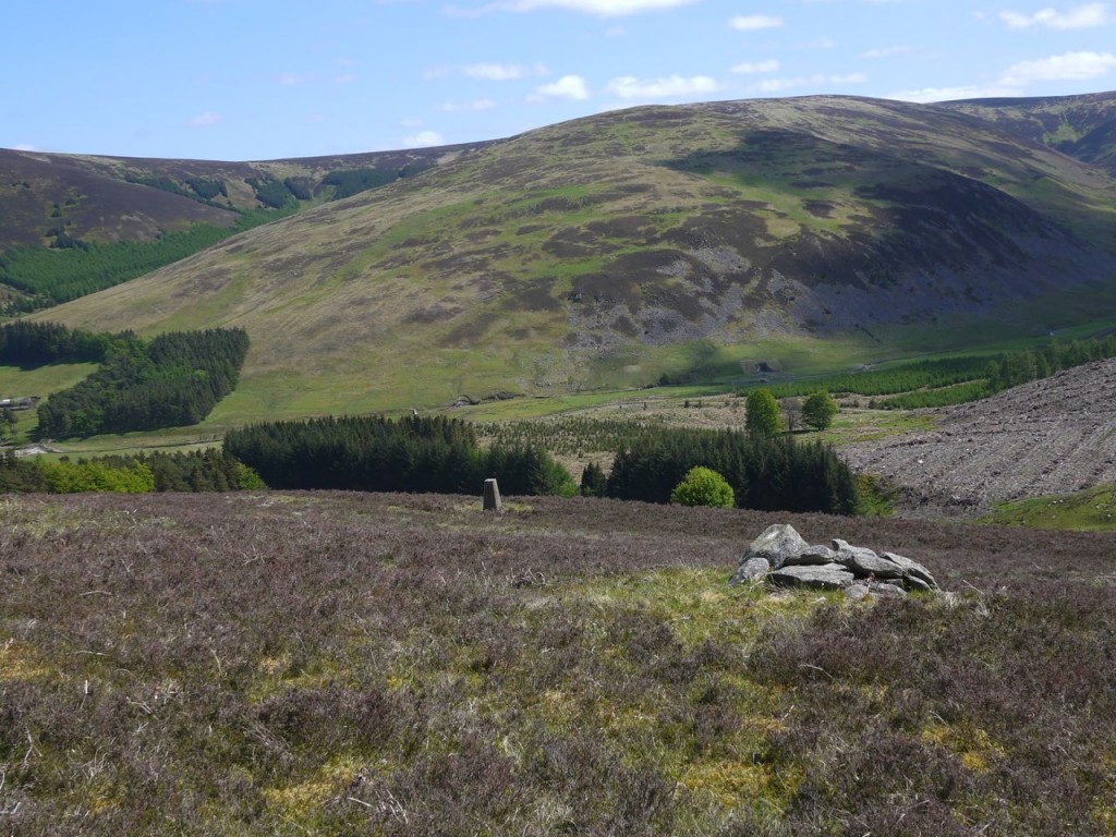 Trig pillar in the Kirkhope Glen