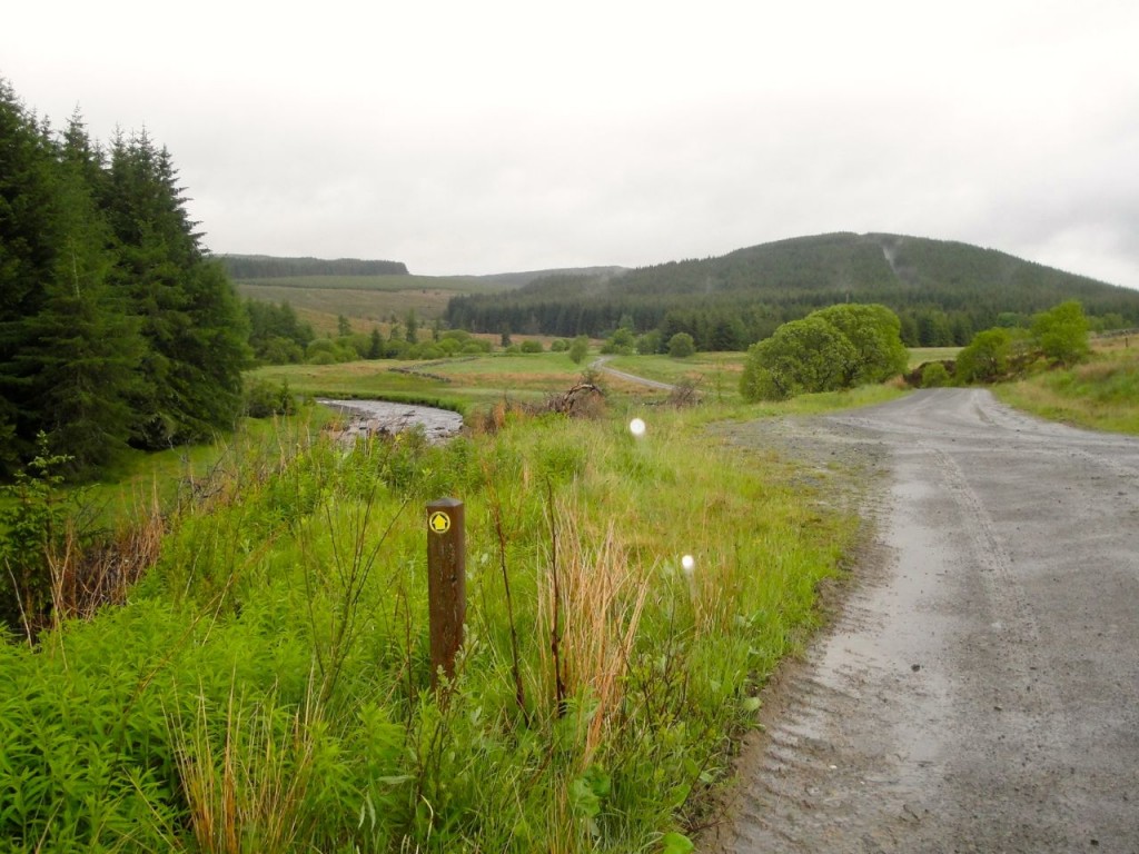 Water of Deugh Trail marker, above Moor