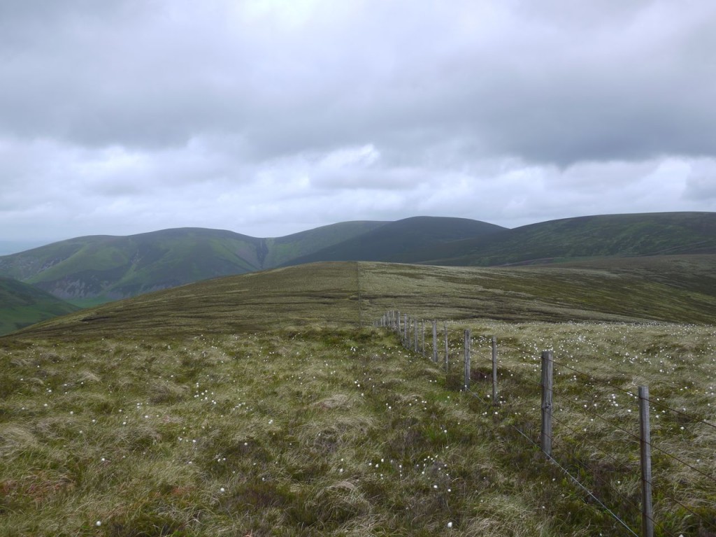 White Cleuch Hill and Glenrath Hills