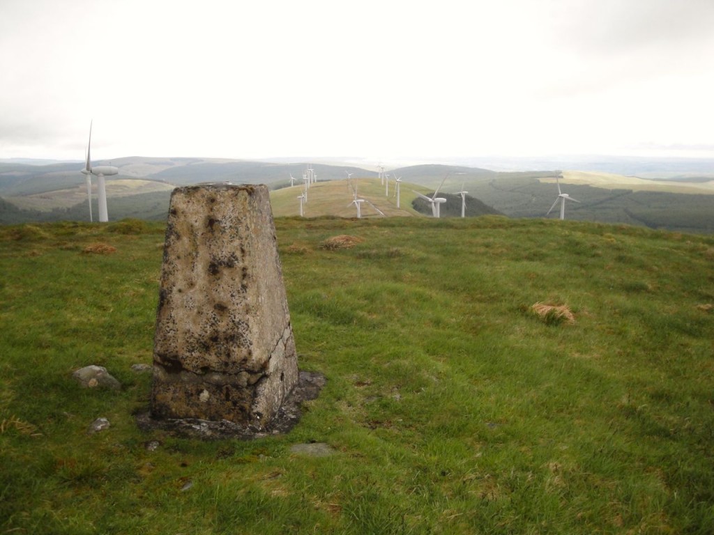 Windy Standard summit