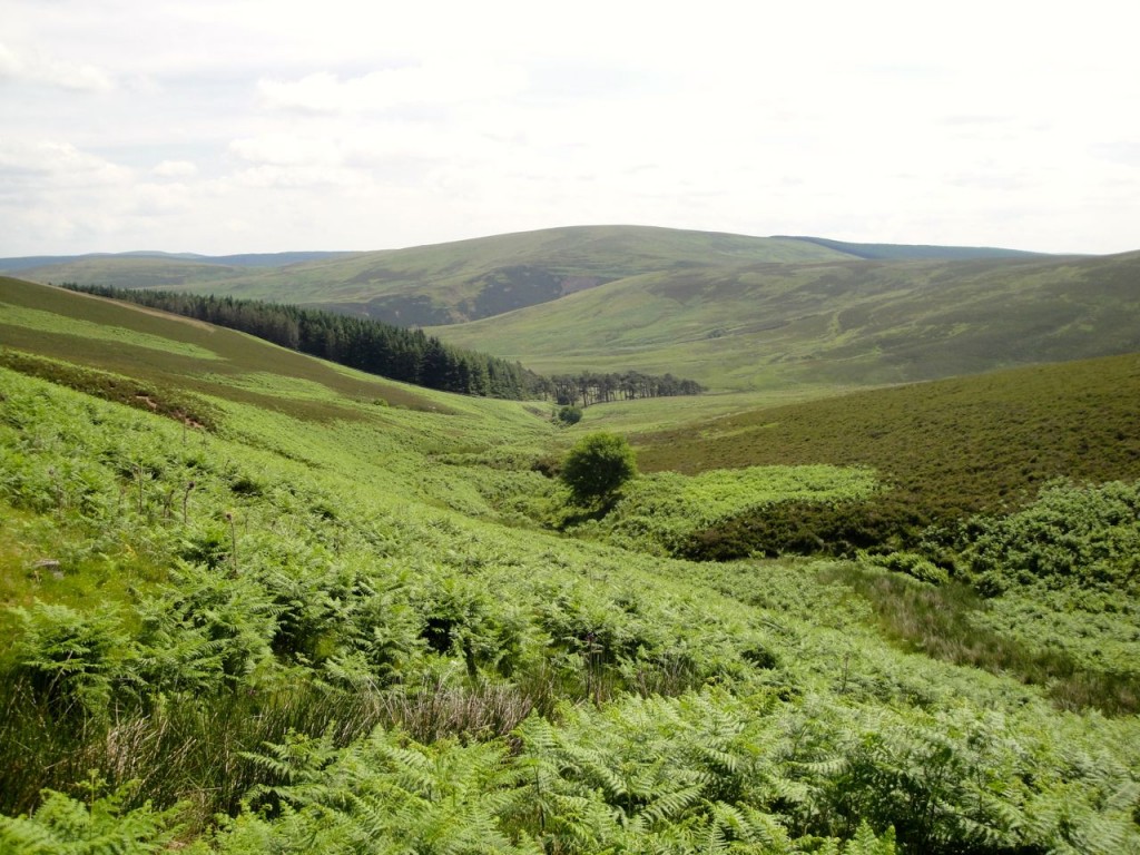Banks Burn, Looking down to Glenshiel Banks from the Drove Road