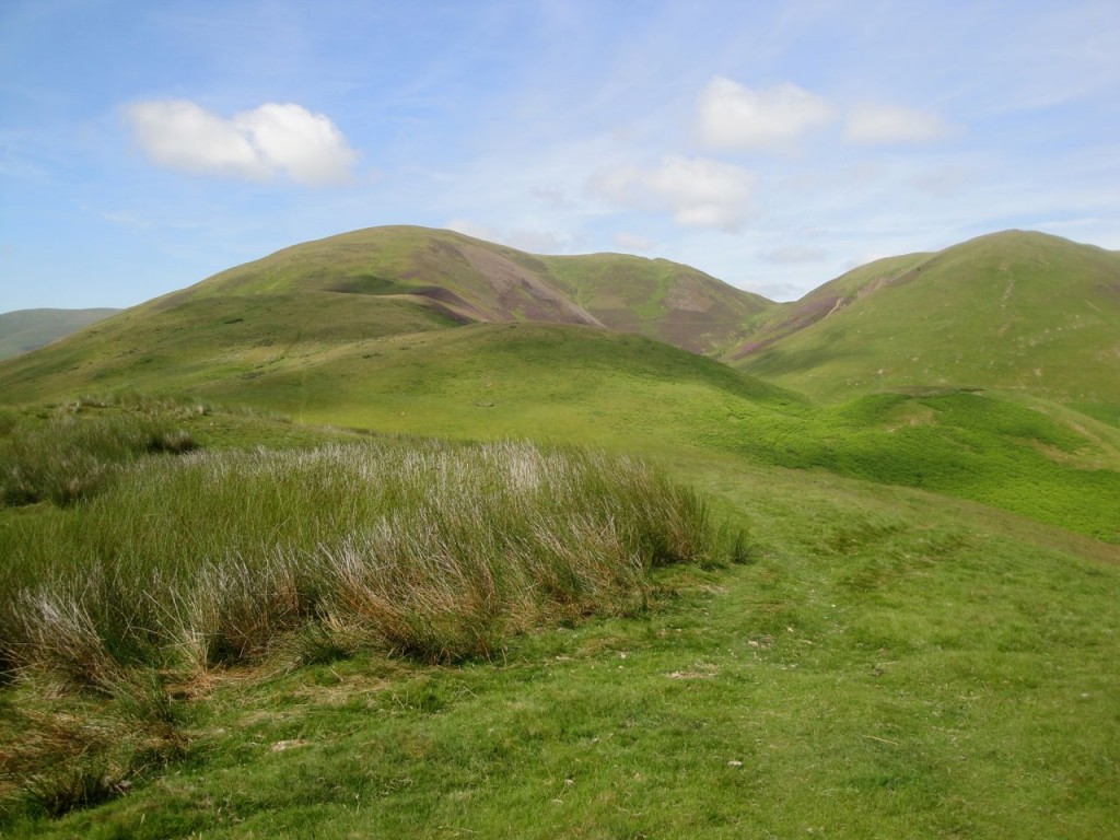 Black Hill from Wether Hill