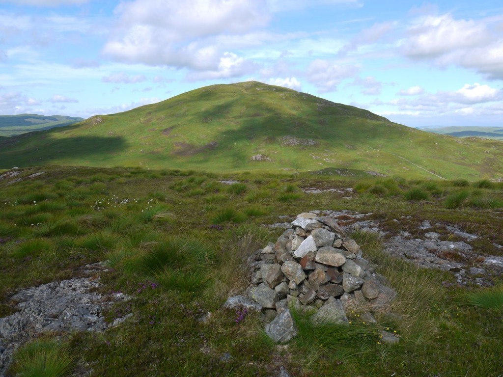 Western slopes of Craiglee, not grey