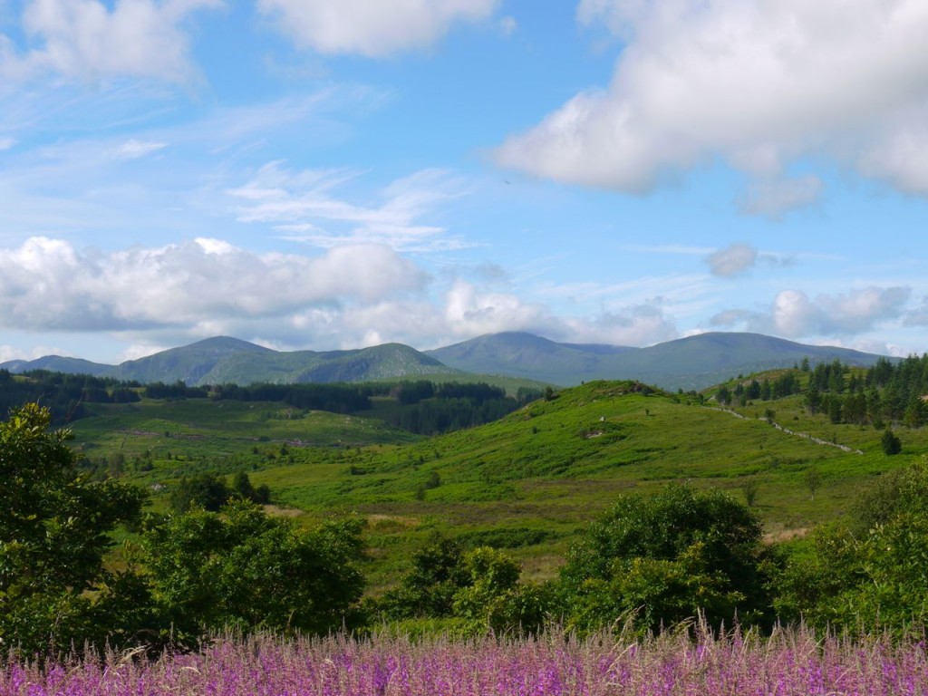 Galloway Hills from the Craiglea Trail