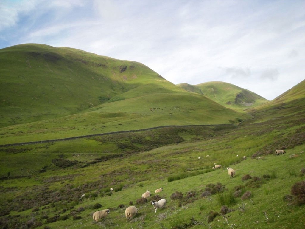 Roman Fort on lower slopes of Penbane