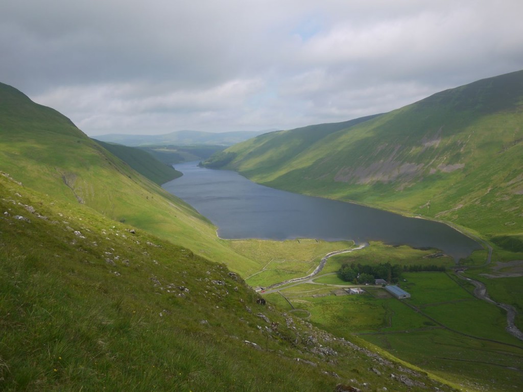 Talla from the northern slope of Carlavin Hill