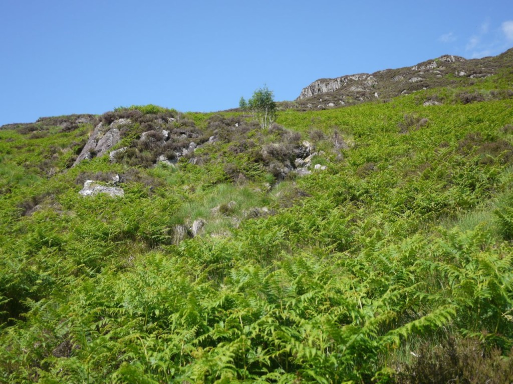 Terrain on the slopes of Cairngarroch
