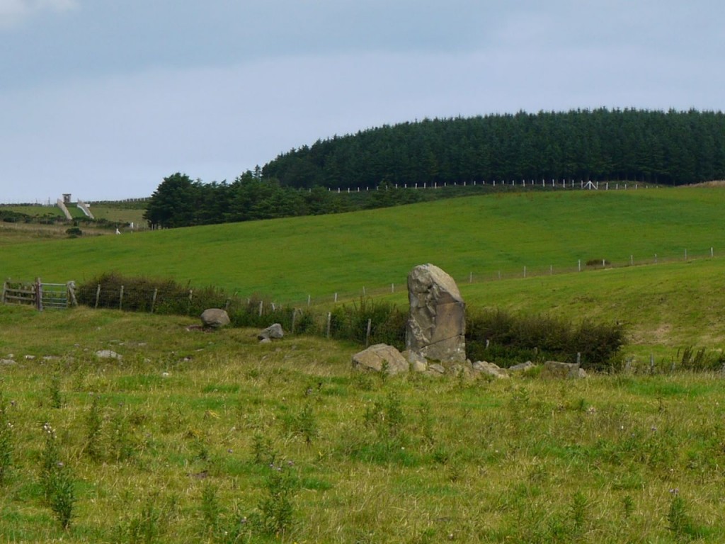 Knock and Maize standing stone