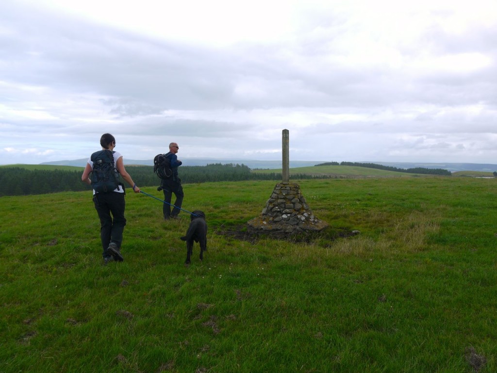 Mulloch Hill before the jackets