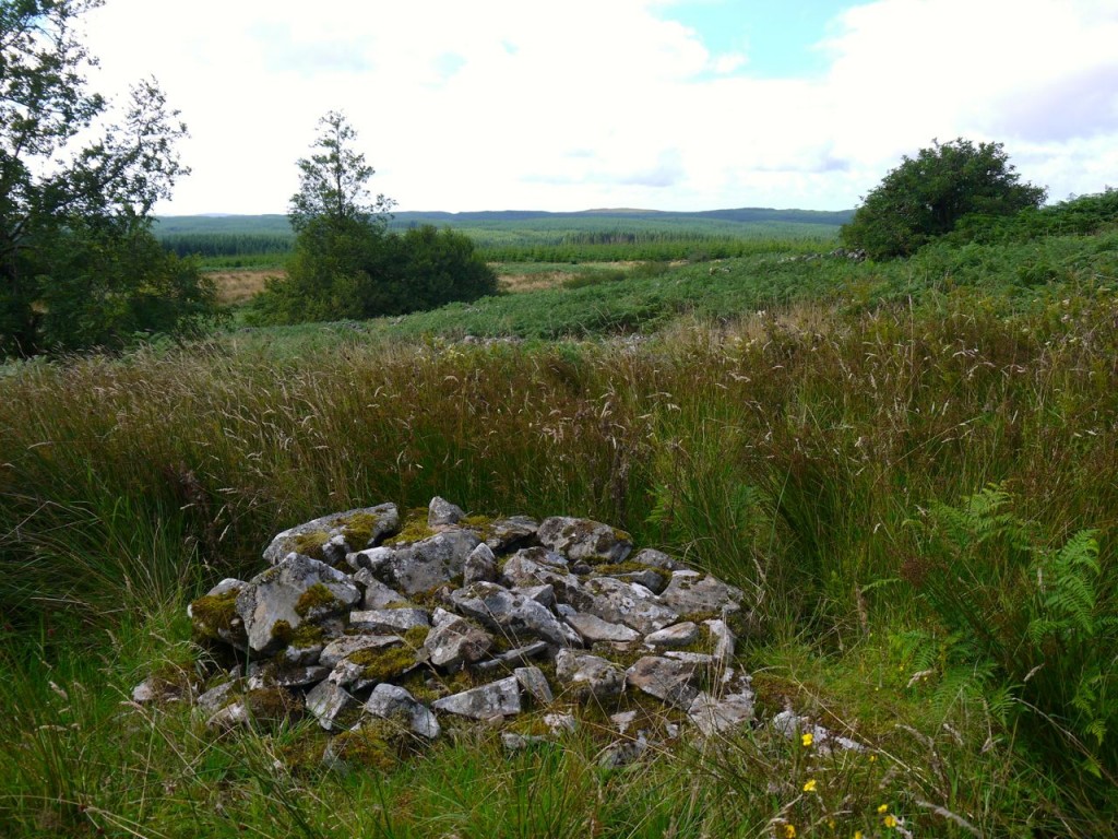 One of the Wells o' the Rees