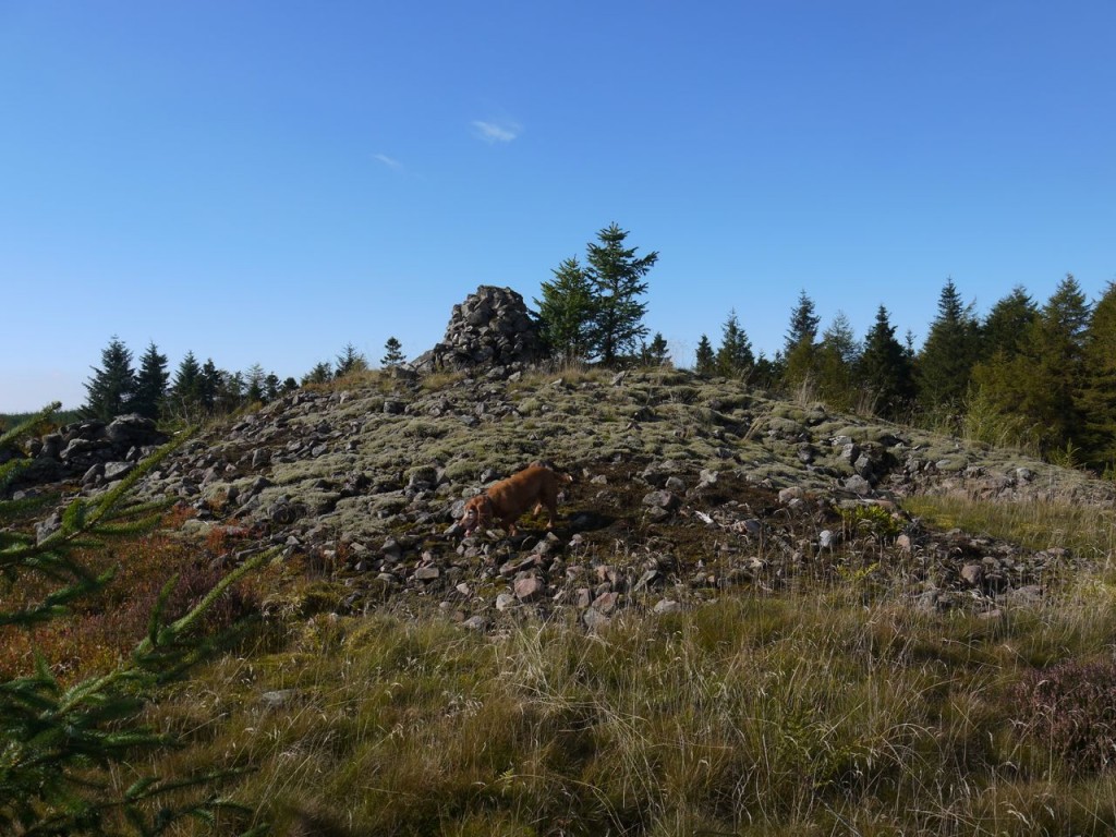 Mid Cairn