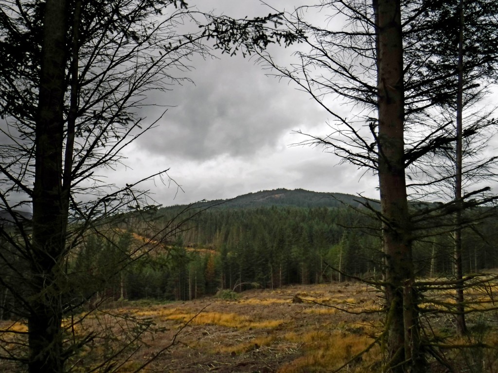 Cairn Edward Hill seen from the track near Bennan