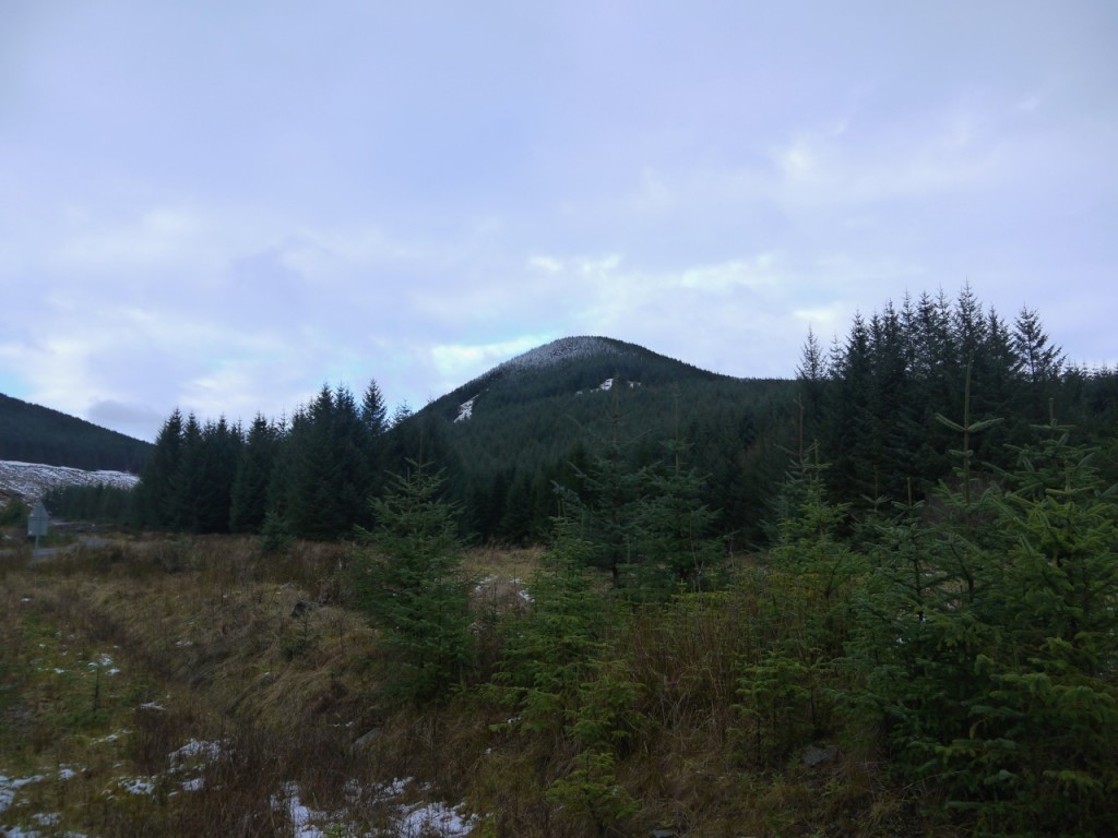 View up the Dalwhat Glen