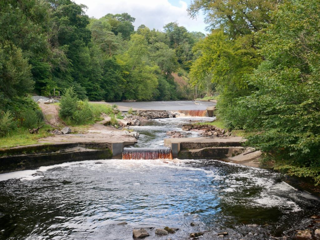 The weir at Catrine