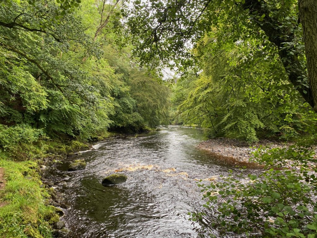 River Ayr near Catrine