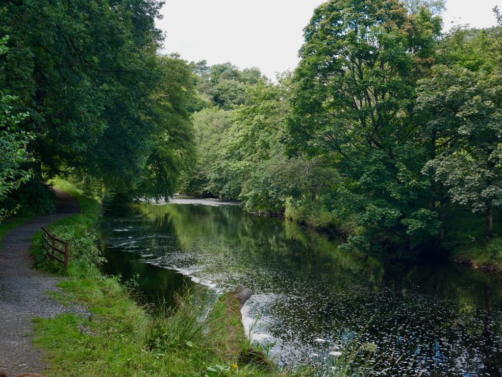 River Ayr at Catrine