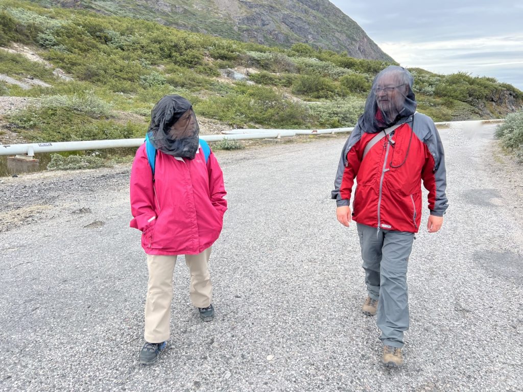 Between the harbour and town